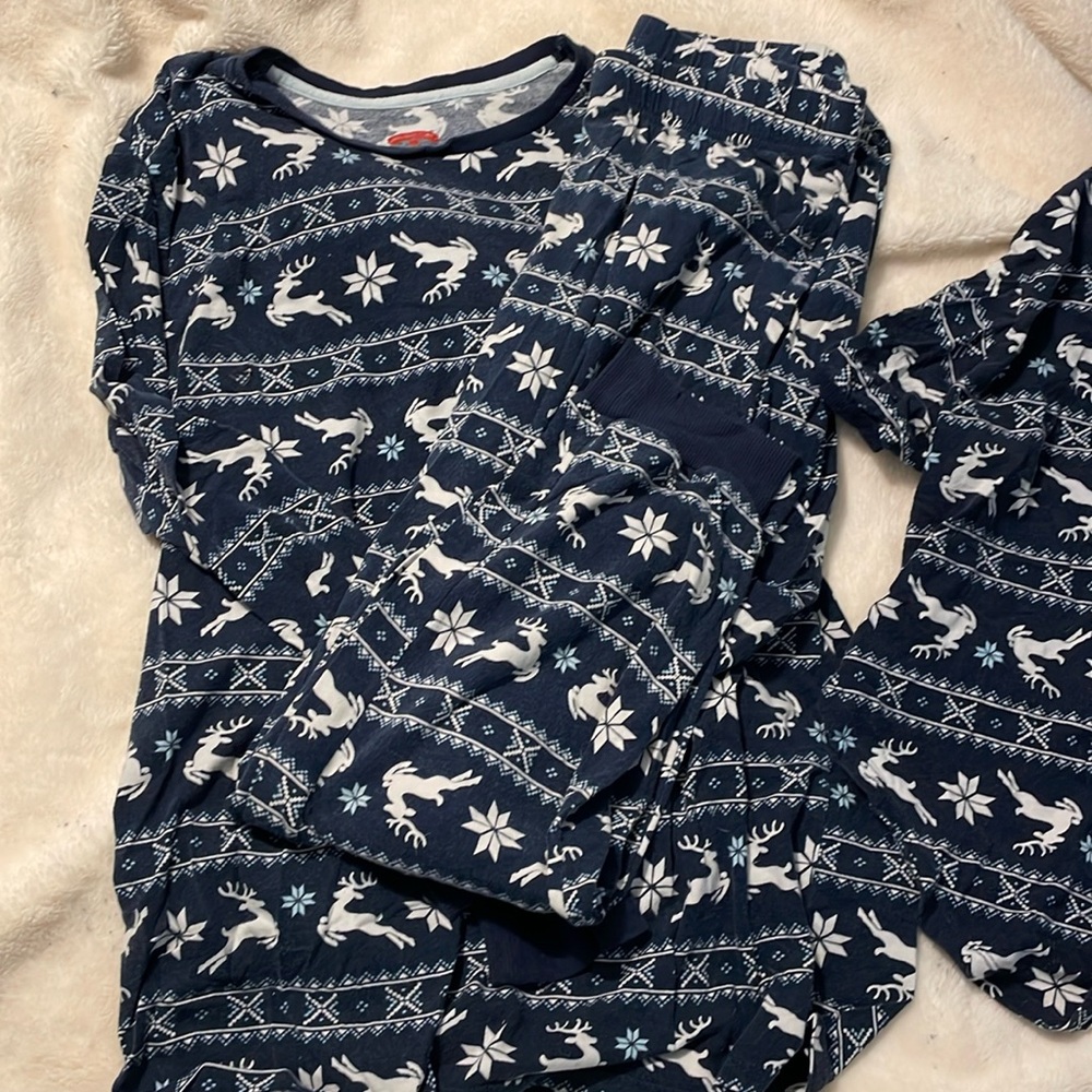 Holiday time dog/human matching outfit